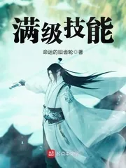 《满级技能》小说封面