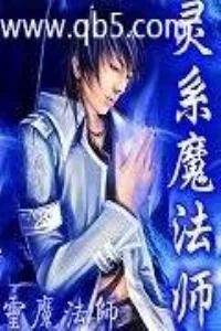 《灵系魔法师》小说封面