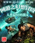 《网游之幻想冒险》小说封面