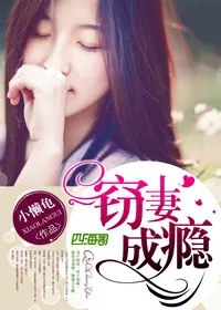 《窃妻成瘾》小说封面