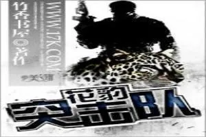 《铁氏兄弟》小说封面