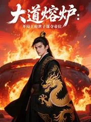 《大道溶炉，开局王府世子谋夺帝位》小说封面
