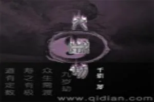 《九岁劫》小说封面