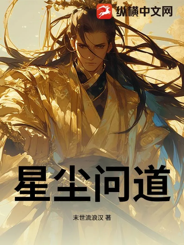 《星尘问道》小说封面