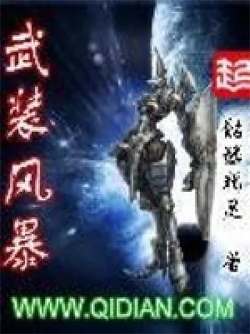 《武装风暴》小说封面