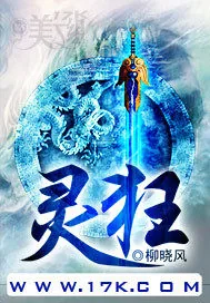《灵狂》小说封面