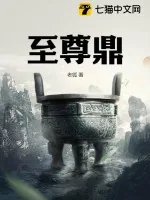 《至尊鼎》小说封面