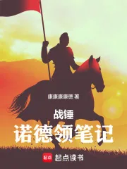 《战锤：诺德领笔记》小说封面