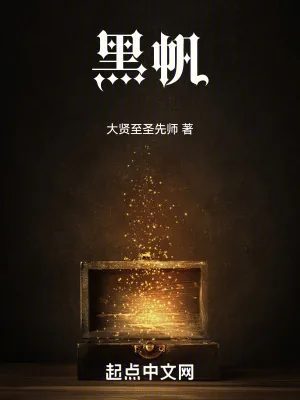 《黑帆》小说封面