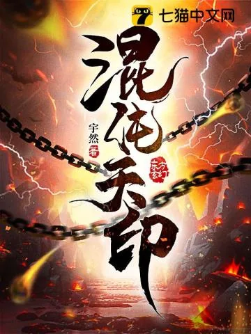 《混沌天印》小说封面