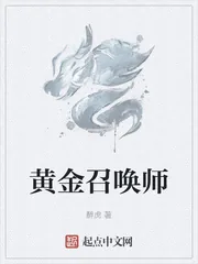 《黄金召唤师》小说封面