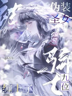 《伪装圣女,被九位骑士缠上了》小说封面