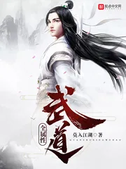 《全属性武道》小说封面