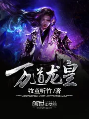 《至尊龙帝》小说封面