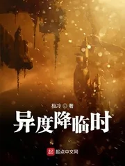 《异度降临时》小说封面
