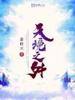 《天境之外》小说封面