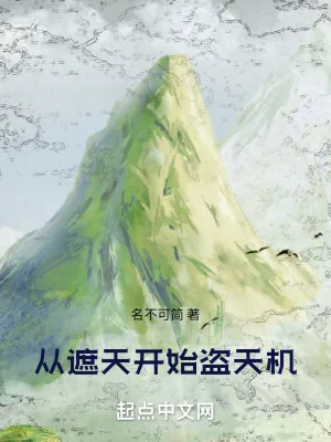 《从遮天开始盗天机》小说封面