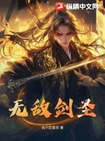 《无敌剑圣》小说封面