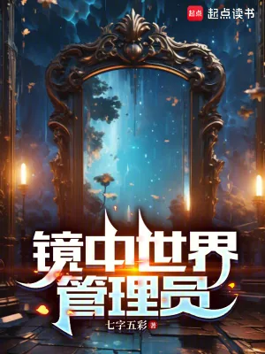 《镜中世界管理员》小说封面