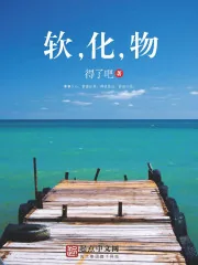 《软，化，物》小说封面
