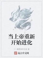 《当上帝重新开始进化》小说封面
