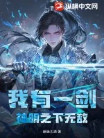 《我有一剑，神明之下无敌》小说封面