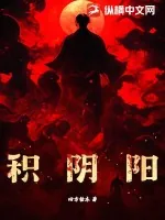 《积阴阳》小说封面