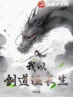 《我以剑道证长生》小说封面