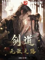 《剑道：无敌之路》小说封面
