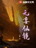 《无妄仙镜》小说封面