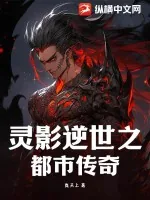《灵影逆世之都市传奇》小说封面