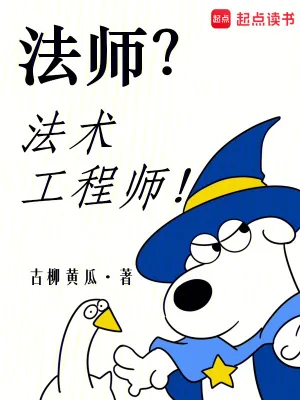 《法师？法术工程师！》小说封面