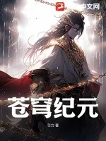 《苍穹纪元》小说封面