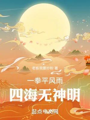 《一拳平风雨，四海无神明》小说封面