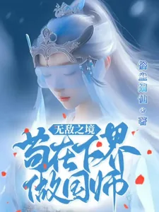《无敌之境苟在下界做国师》小说封面