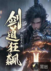 《剑道狂飙》小说封面
