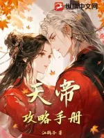 《天帝攻略手册》小说封面