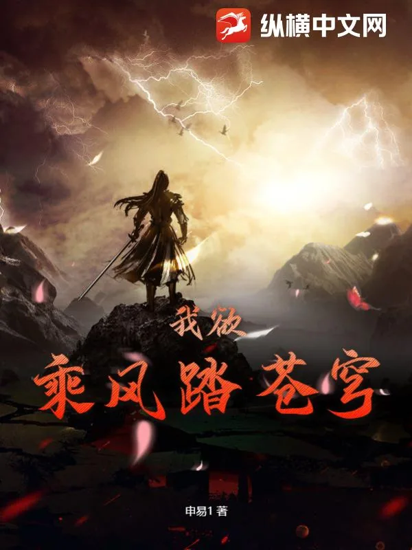 《我欲乘风踏苍穹》小说封面