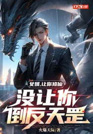 《女婿，让你修仙，没让你倒反天罡》小说封面