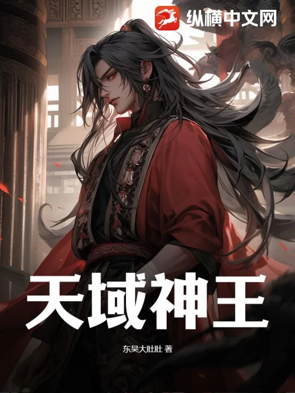 《天域神王》小说封面