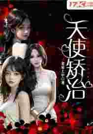 《天使矫治》小说封面