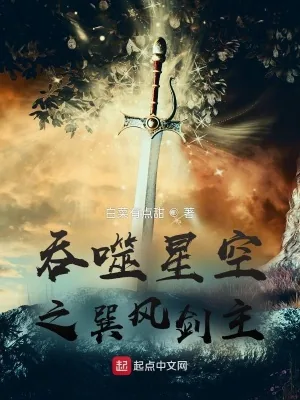 《吞噬星空之巽风剑主》小说封面