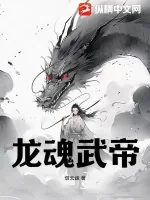 《龙魂武帝》小说封面
