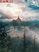 《青天武帝》小说封面