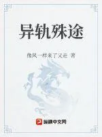 《异轨殊途》小说封面