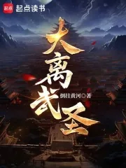 《大离武圣！》小说封面