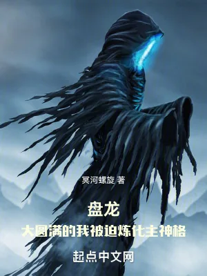 《盘龙:大圆满的我被迫炼化主神格》小说封面