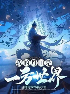 《我的丹田是一方世界》小说封面