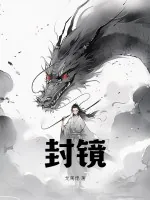 《封镜》小说封面