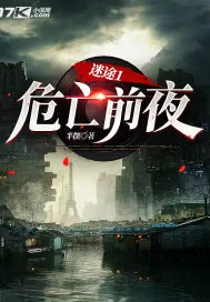 《迷途1：危亡前夜》小说封面
